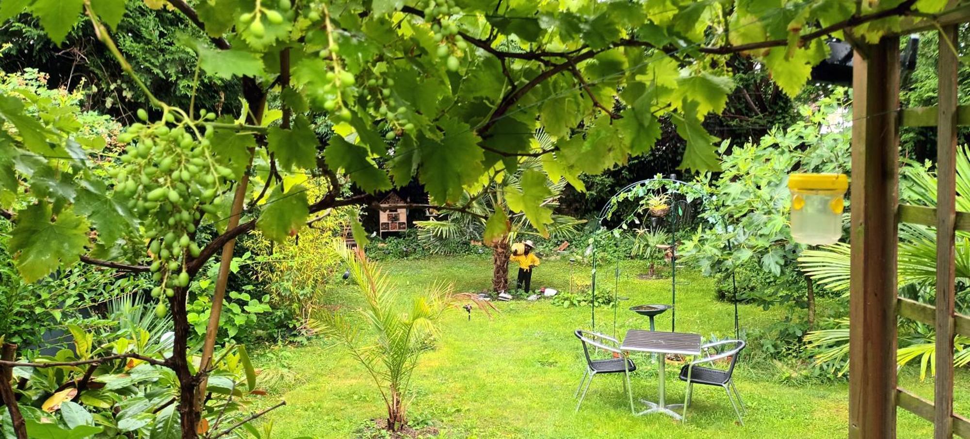 Gite Du Jardin Secret Saint-Valéry-sur-Somme Eksteriør billede